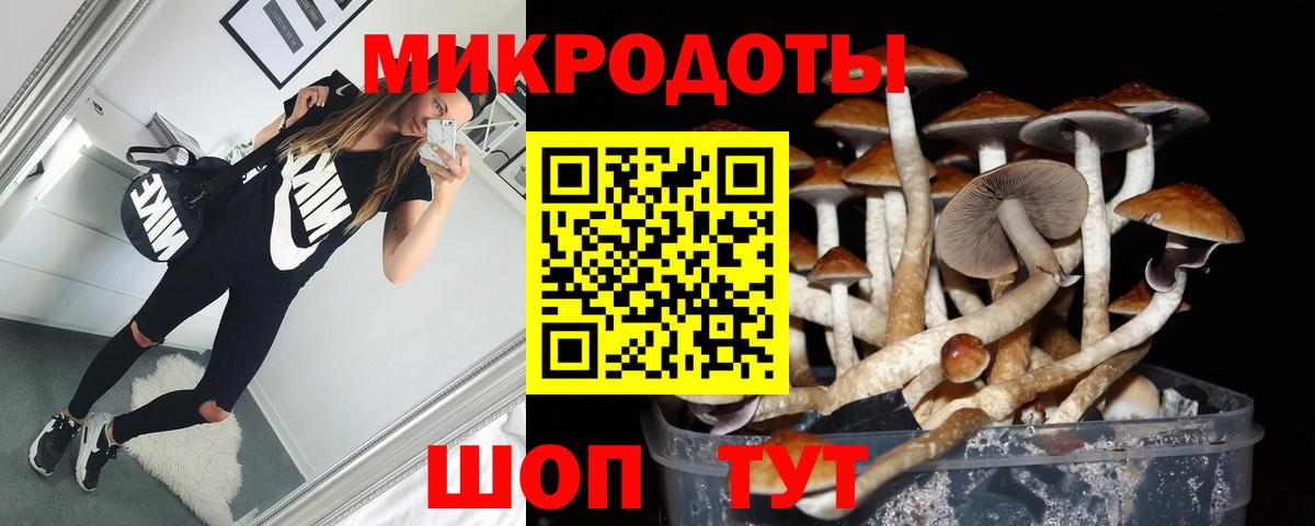 Новоуральск  Галлюциногенные грибы Psilocybine cubensis  Вход с VPN 